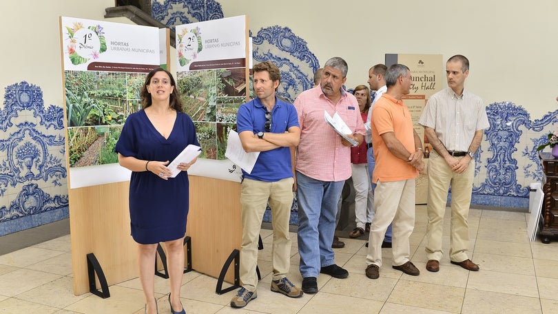 Imagem de 19ª Edição do concurso “Funchal – Cidade Florida”