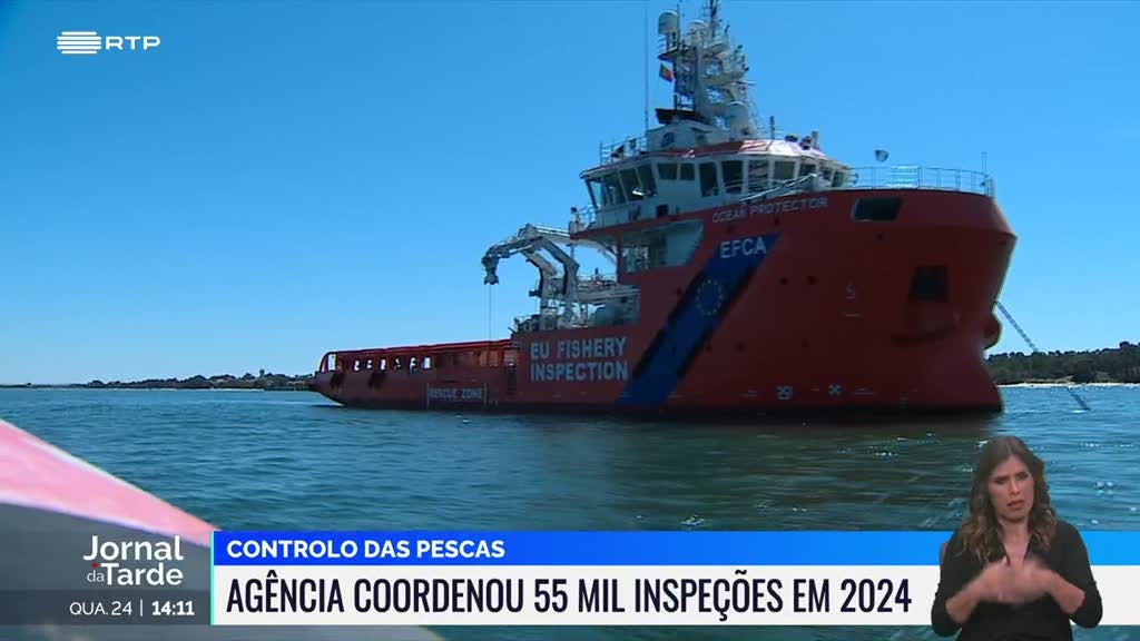 Agência Europeia de Controlo das Pescas coordenou só no ano passado 55 mil inspeções