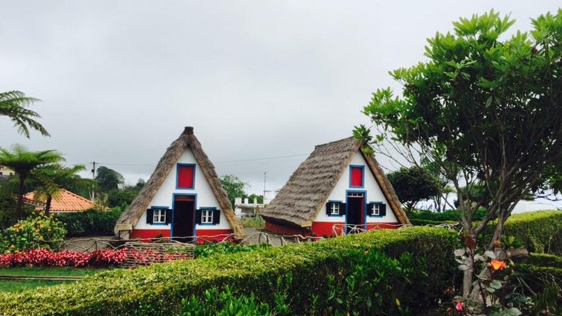 Imagem de Madeira reúne mais cem emigrantes no I Encontro das Comunidades Madeirenses