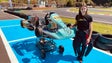 Imagem de Sofia Correia representa Portugal nos jogos de automobilismo