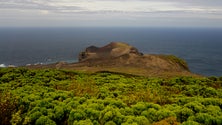 Imagem de Vigilantes da natureza reunidos na Faial (Vídeo)
