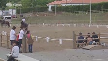 Imagem de Terceira recebe jogos equestres (Vídeo)