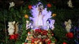 Imagem de Covid-19: Missas de Natal serão celebradas sem romagens nem convívios no exterior das igrejas (Áudio)
