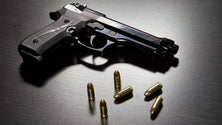 Imagem de PSP apela à entrega voluntária de armas não registadas