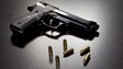 Imagem de PSP apela à entrega voluntária de armas não registadas