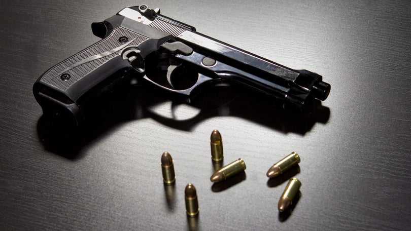 Imagem de PSP apela à entrega voluntária de armas não registadas