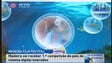 Imagem de Madeira Film Festival (Vídeo)