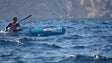Madeira recebe Taça do Mundo de canoagem de mar (vídeo)