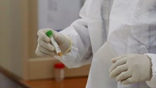Imagem de Kit de diagnóstico «in vitro» permite resultados em 45 minutos