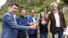 Imagem de Há um novo vinho madeirense da Boaventura