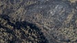 Imagem de Oito pessoas morrem em queda de avião