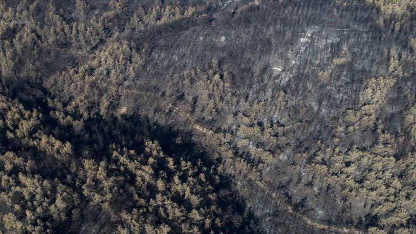 Imagem de Oito pessoas morrem em queda de avião
