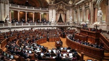 Imagem de Parlamento muda Lei da Nacionalidade, esquerda e PAN a favor