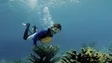 Imagem de «MARGULHAR» vem ajudar a consolidar a Madeira no turismo de mergulho (áudio)