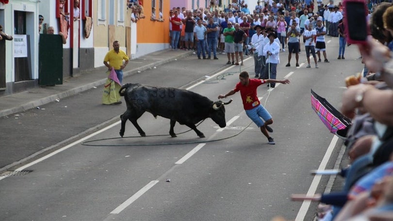 Touradas regressam na Terceira (Vídeo)