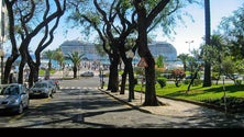 Imagem de Madeirenses consideram Funchal uma cidade com boas condições de mobilidade