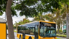 Imagem de Sindicato Nacional dos Motoristas suspendeu greve dos trabalhadores dos Horários do Funchal