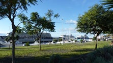 Imagem de Quatro navios movimentam quase 10 mil passageiros no Funchal