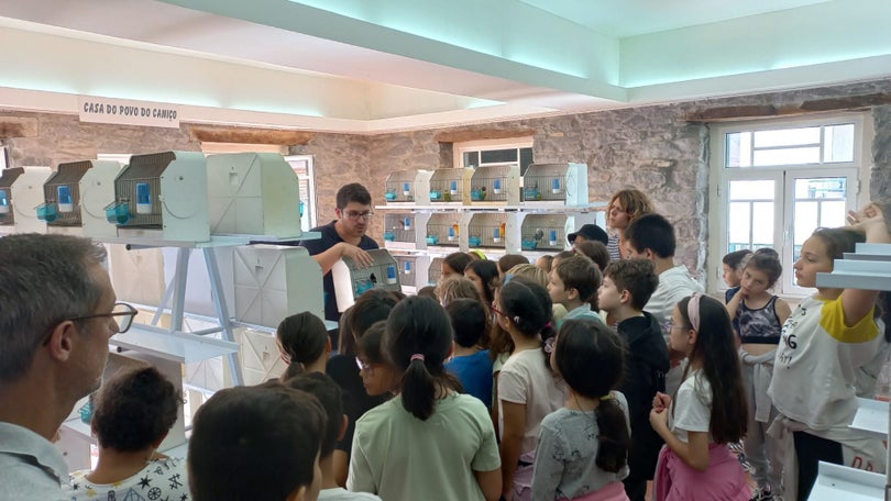 Exposição com 100 aves aberta ao público no Caniço