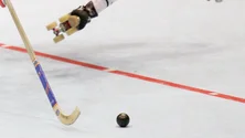 Imagem de Marítimo ameaça extinguir secção de hóquei em patins (Vídeo)
