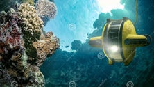 Imagem de ARDITI adquiriu sistemas robóticos para estudar recursos marinhos (vídeo)