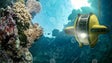 ARDITI adquiriu sistemas robóticos para estudar recursos marinhos (vídeo)