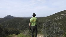 Imagem de Vigilantes da Natureza passam fim de ano em trabalho