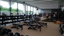 Imagem de Covid-19: Associação de Clubes Fitness pede ao Governo Regional uma exceção para ginásios