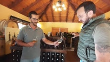 Imagem de Madeira tem a melhor sidra espumante do mundo (vídeo)