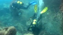 Imagem de Bombeiros do Faial em formação de salvamento subaquático (Vídeo)