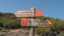 Imagem de Vereda que liga o Pico Ruivo ao Pico do Areeiro encerra temporariamente para trabalhos de manutenção (Áudio)