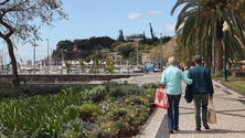 Imagem de Covid-19: Madeira com mais 13 casos, 7 dos quais de transmissão local