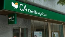 Imagem de Crédito Agrícola avalia prejuízos causados pelo vento nas explorações