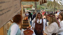 Imagem de Participantes e visitantes dão nota positiva ao Mercado Quinhentista de Machico