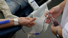 Imagem de Três novos serviços de saúde da Madeira acreditados com qualidade pela DGS