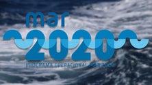 Imagem de Madeira tem potencial para aproveitar fundos da economia azul