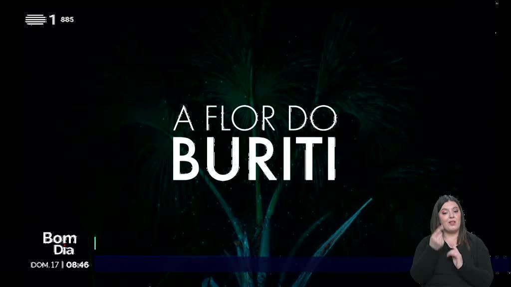 Filme "A Flor do Buriti" já recebeu vários prémios internacionais