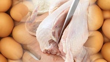 Imagem de Mercado regional registou maior procura por frango e ovos, nas últimas semanas (Vídeo)