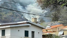 Imagem de Helicóptero combate incêndio no Caniçal (vídeo)