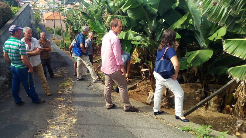 Espera de 8 semanas com prejuízo no cultivo da banana