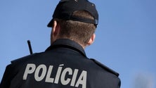 Imagem de Detidos por furtarem combustível de retroescavadora