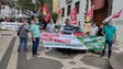 Imagem de Trabalhadores saíram à rua (vídeo)