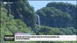 Turista alemão esteve perdido durante várias horas na zona do Ribeiro Frio (vídeo)