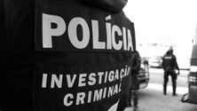 Imagem de Adepto do Benfica em prisão preventiva