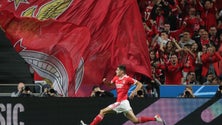 Imagem de Benfica segue caminhada invicta e já está nos oitavos de final