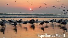 Imagem de “Espelhos do Mar” em exposição no Museu da Baleia