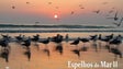 Imagem de “Espelhos do Mar” em exposição no Museu da Baleia