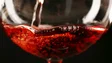 Imagem de Australiana sobrevive cinco dias na floresta com doces e vinho