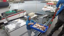 Imagem de Federação de pescas quer testar todos os pescadores