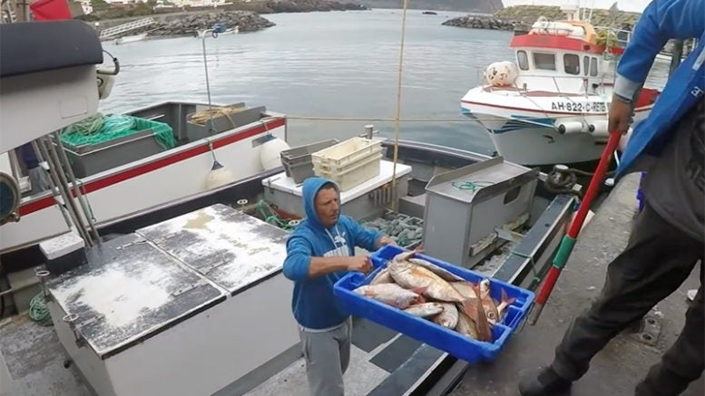 Imagem de Federação de pescas quer testar todos os pescadores